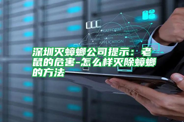 深圳灭蟑螂公司提示:老鼠的危害-怎么样灭除蟑螂的方法