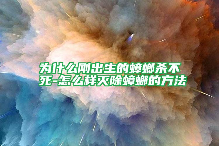 为什么刚出生的蟑螂杀不死-怎么样灭除蟑螂的方法