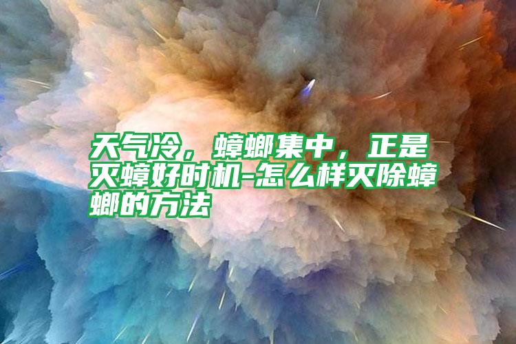 天气冷,蟑螂集中,正是灭蟑好时机-怎么样灭除蟑螂的方法