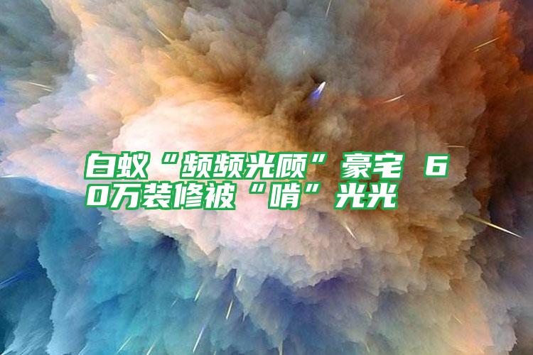 白蚁“频频光顾”豪宅 60万装修被“啃”光光