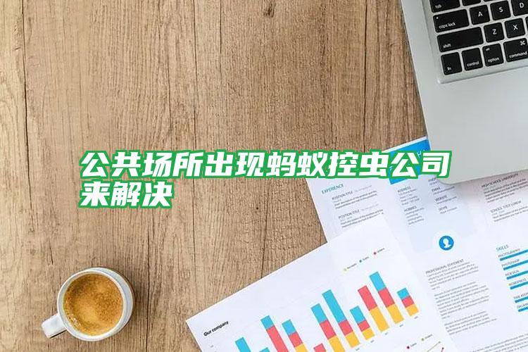 公共场所出现蚂蚁控虫公司来解决