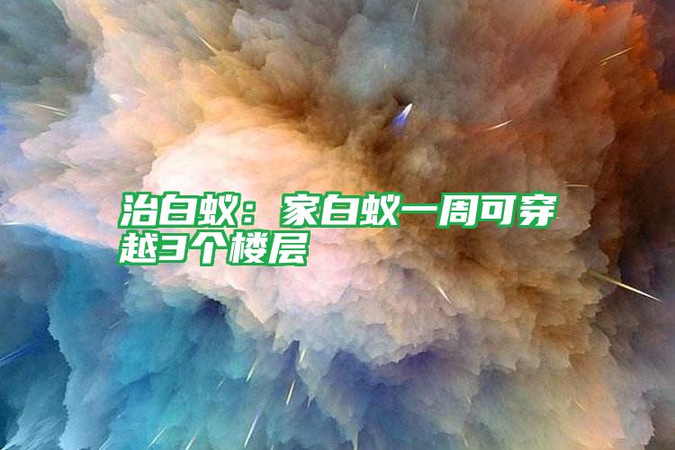 治白蚁：家白蚁一周可穿越3个楼层