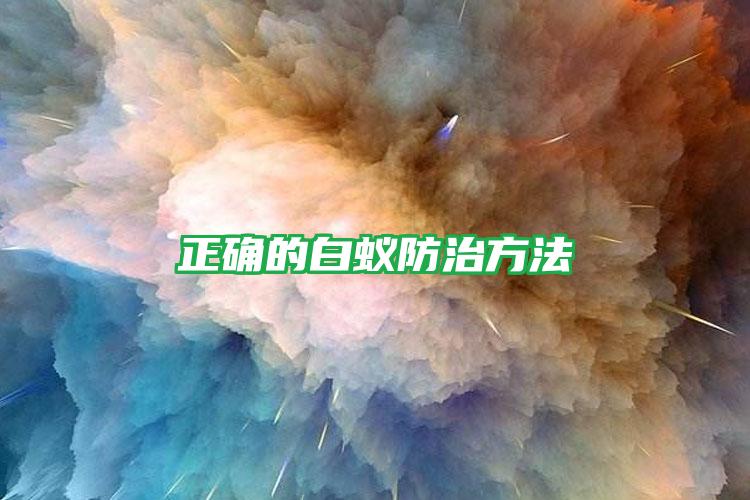 正确的白蚁防治方法