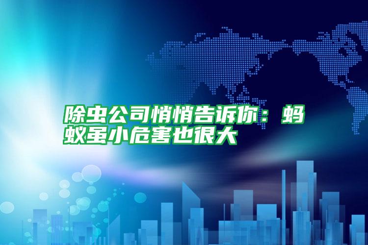 除虫公司悄悄告诉你:蚂蚁虽小危害也很大