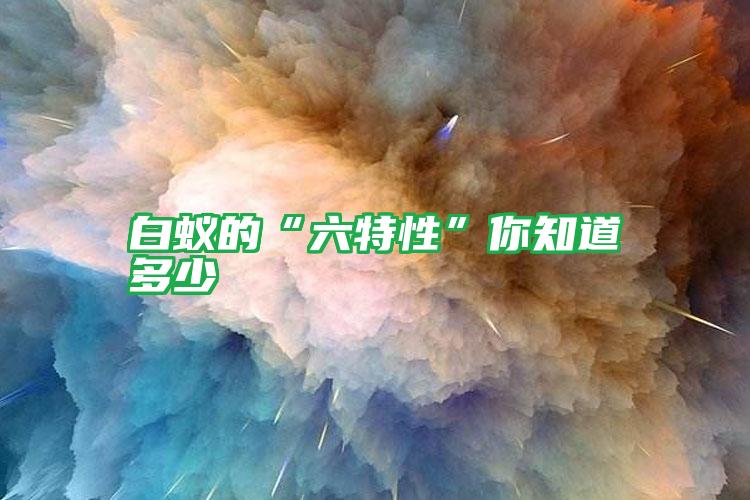 白蚁的“六特性”你知道多少