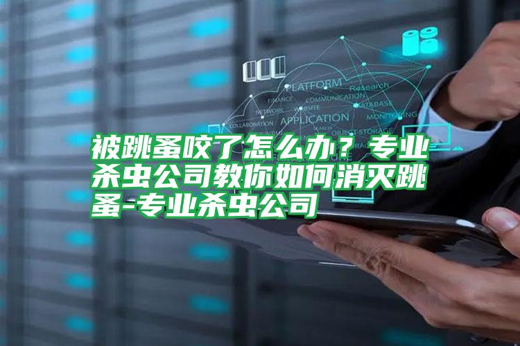 被跳蚤咬了怎么办?专业杀虫公司教你如何消灭跳蚤-专业杀虫公司