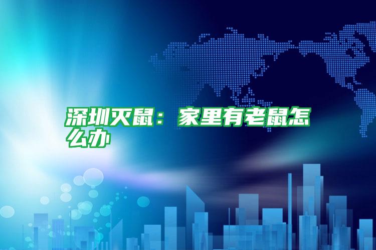 深圳灭鼠:家里有老鼠怎么办