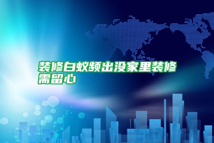 装修白蚁频出没家里装修需留心