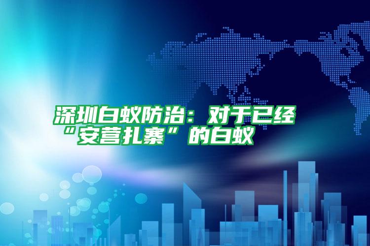深圳白蚁防治:对于已经“安营扎寨”的白蚁