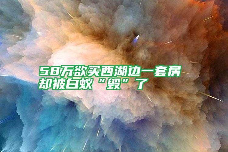 58万欲买西湖边一套房 却被白蚁“毁”了