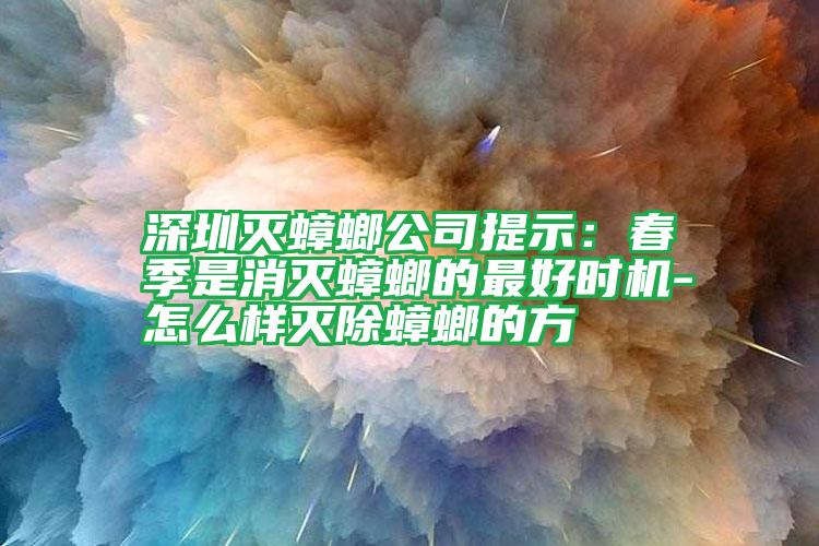 深圳灭蟑螂公司提示：春季是消灭蟑螂的最好时机-怎么样灭除蟑螂的方