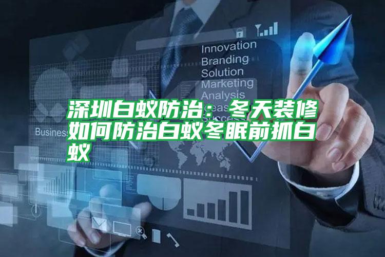 深圳白蚁防治:冬天装修如何防治白蚁冬眠前抓白蚁