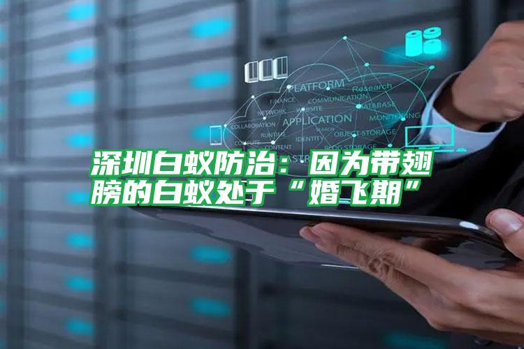 深圳白蚁防治:因为带翅膀的白蚁处于“婚飞期”