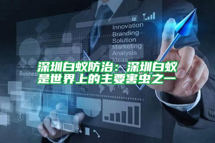 深圳白蚁防治:深圳白蚁是世界上的主要害虫之一