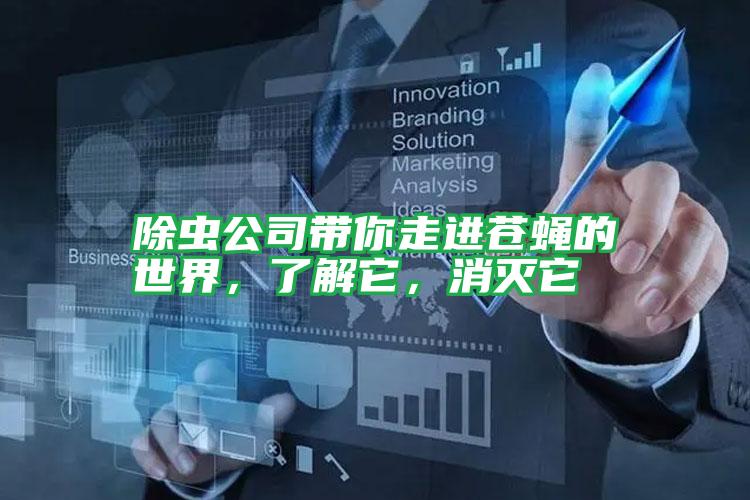 除虫公司带你走进苍蝇的世界,了解它,消灭它
