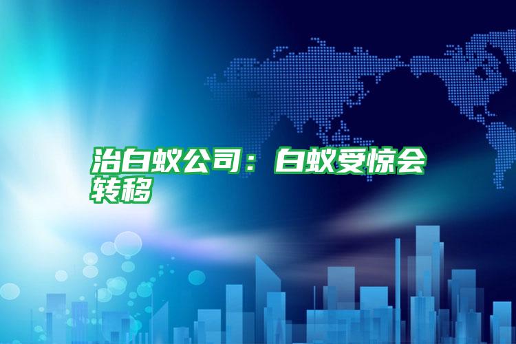 治白蚁公司:白蚁受惊会转移