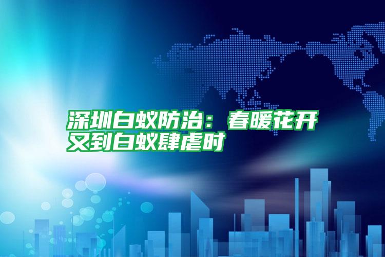 深圳白蚁防治:春暖花开又到白蚁肆虐时