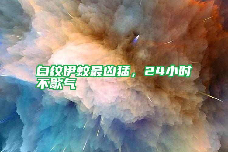 白纹伊蚊最凶猛,24小时不歇气
