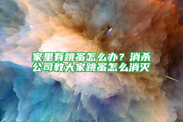 家里有跳蚤怎么办？消杀公司教大家跳蚤怎么消灭