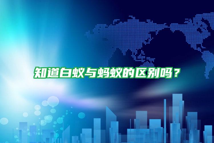 知道白蚁与蚂蚁的区别吗?