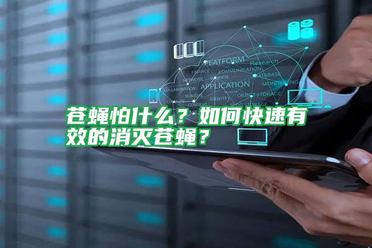 苍蝇怕什么?如何快速有效的消灭苍蝇?