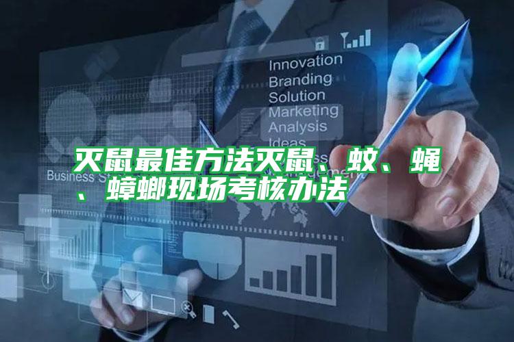 灭鼠最佳方法灭鼠、蚊、蝇、蟑螂现场考核办法