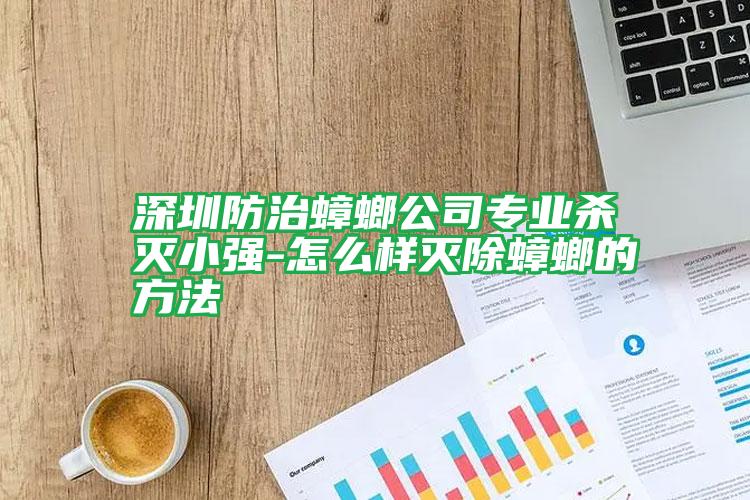 深圳防治蟑螂公司专业杀灭小强-怎么样灭除蟑螂的方法