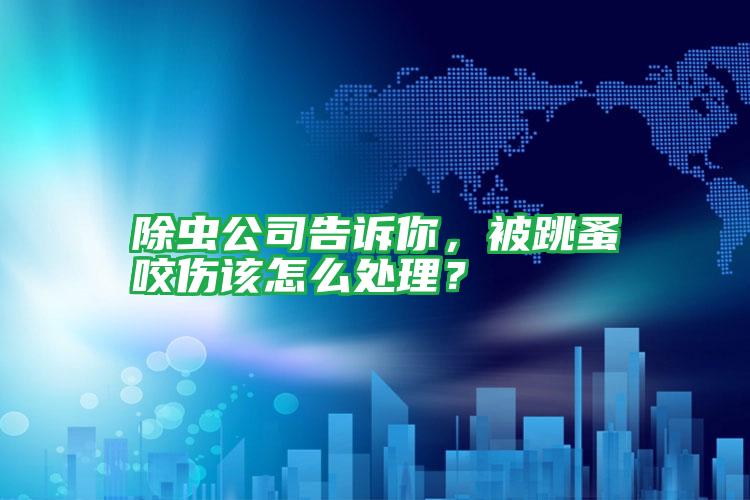 除虫公司告诉你,被跳蚤咬伤该怎么处理?
