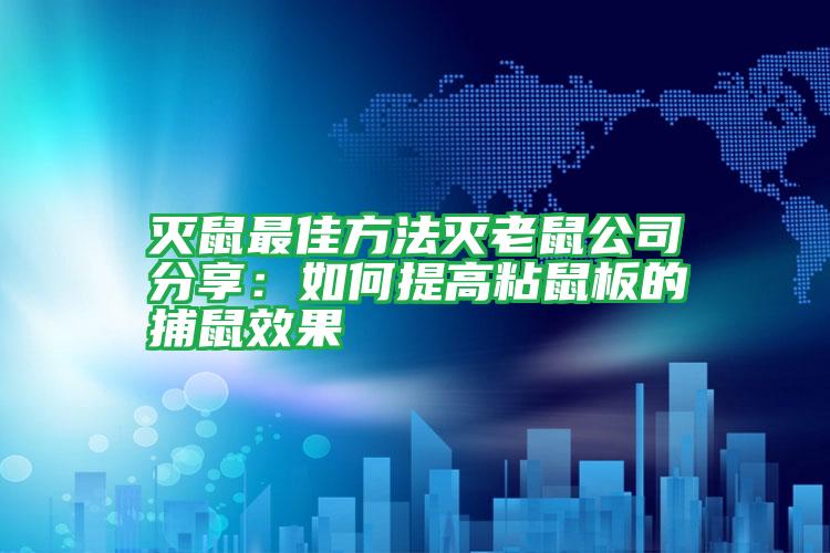 灭鼠最佳方法灭老鼠公司分享：如何提高粘鼠板的捕鼠效果