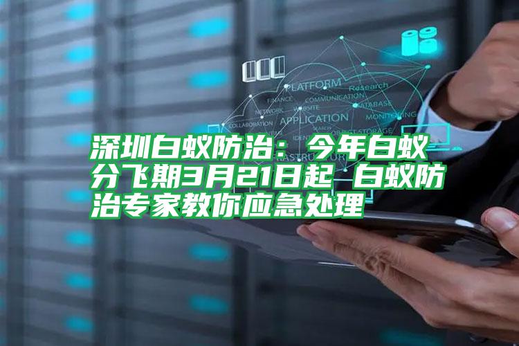 深圳白蚁防治:今年白蚁分飞期3月21日起 白蚁防治专家教你应急处理