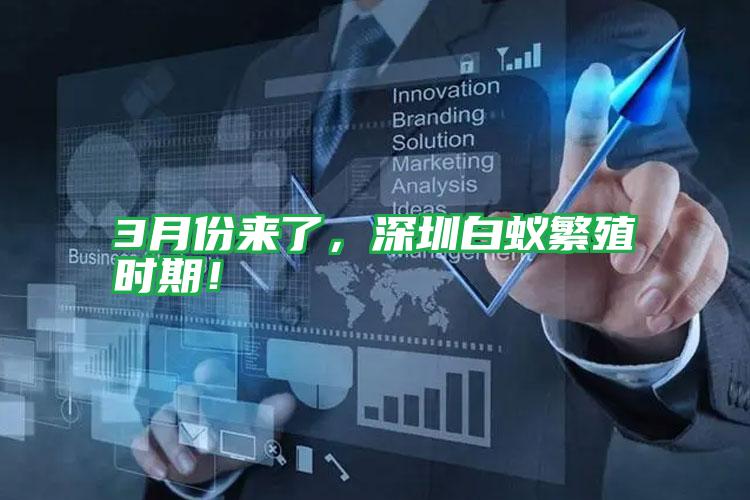 3月份来了,深圳白蚁繁殖时期!