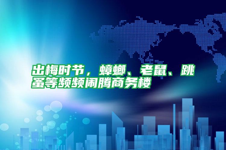 出梅时节,蟑螂、老鼠、跳蚤等频频闹腾商务楼
