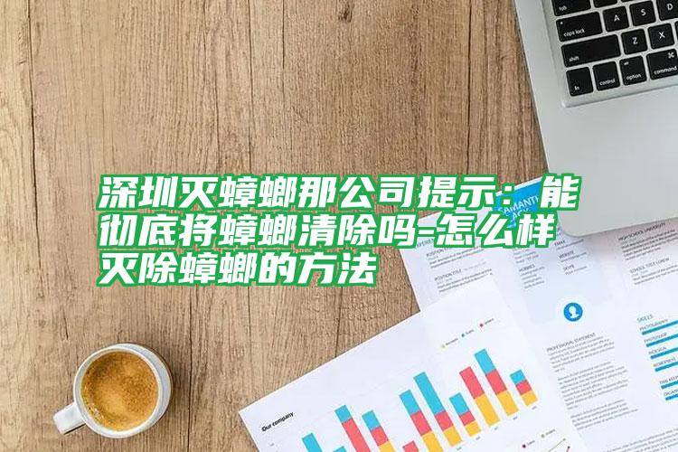 深圳灭蟑螂那公司提示:能彻底将蟑螂清除吗-怎么样灭除蟑螂的方法