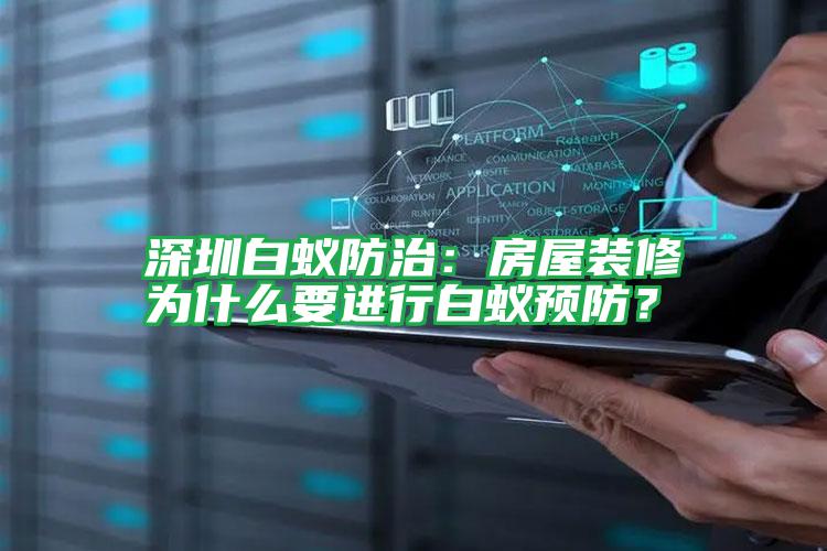 深圳白蚁防治:房屋装修为什么要进行白蚁预防?