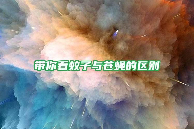 带你看蚊子与苍蝇的区别