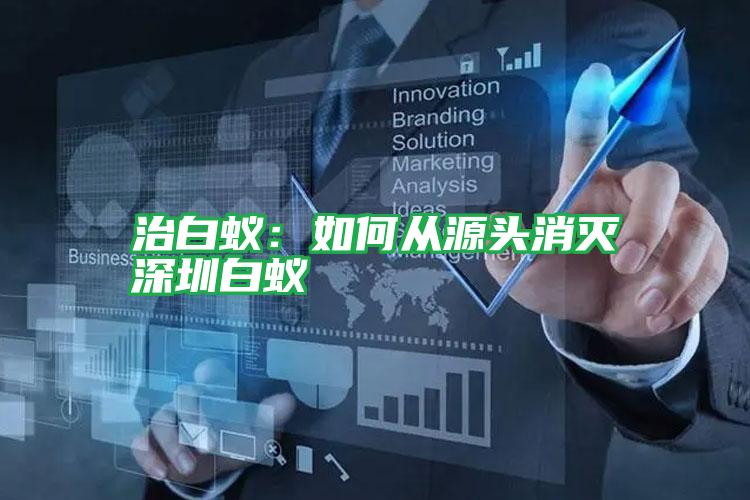 治白蚁:如何从源头消灭深圳白蚁