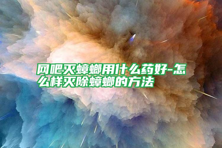 网吧灭蟑螂用什么药好-怎么样灭除蟑螂的方法