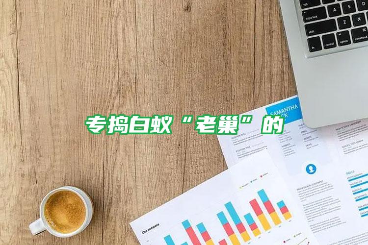 专捣白蚁“老巢”的