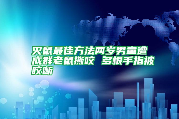 灭鼠最佳方法两岁男童遭成群老鼠撕咬 多根手指被咬断