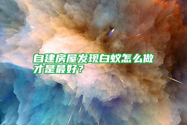 自建房屋发现白蚁怎么做才是最好？