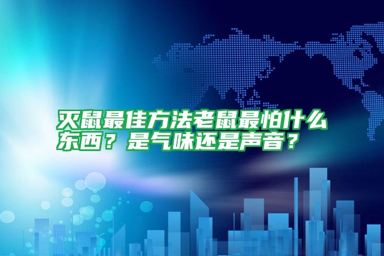 灭鼠最佳方法老鼠最怕什么东西？是气味还是声音？