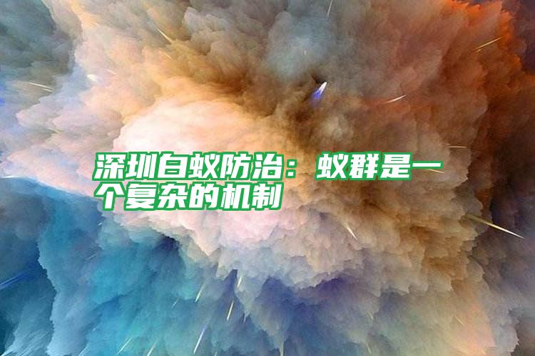 深圳白蚁防治:蚁群是一个复杂的机制