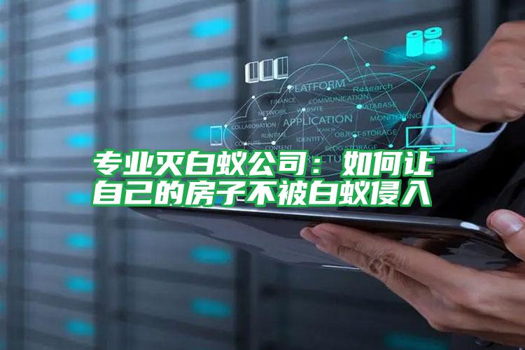 专业灭白蚁公司:如何让自己的房子不被白蚁侵入