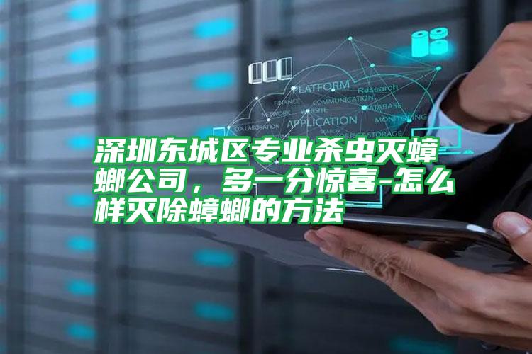 深圳东城区专业杀虫灭蟑螂公司,多一分惊喜-怎么样灭除蟑螂的方法