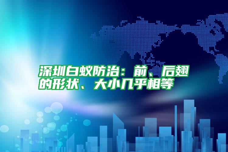 深圳白蚁防治:前、后翅的形状、大小几乎相等