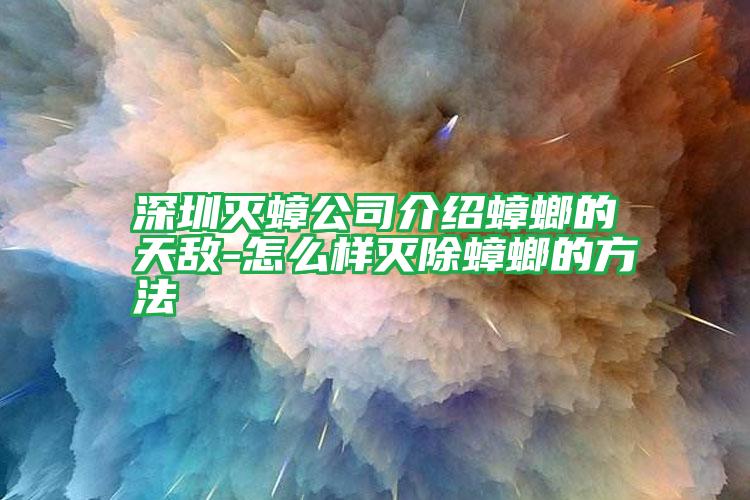 深圳灭蟑公司介绍蟑螂的天敌-怎么样灭除蟑螂的方法