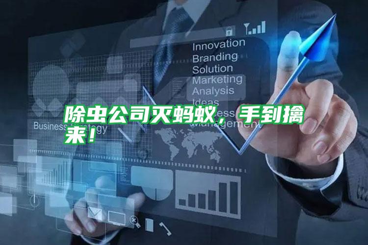除虫公司灭蚂蚁,手到擒来!