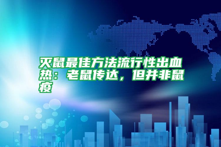 灭鼠最佳方法流行性出血热:老鼠传达,但并非鼠疫