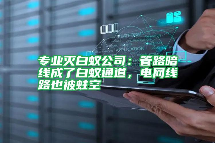 专业灭白蚁公司:管路暗线成了白蚁通道,电网线路也被蛀空