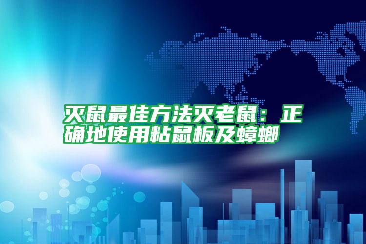 灭鼠最佳方法灭老鼠:正确地使用粘鼠板及蟑螂
